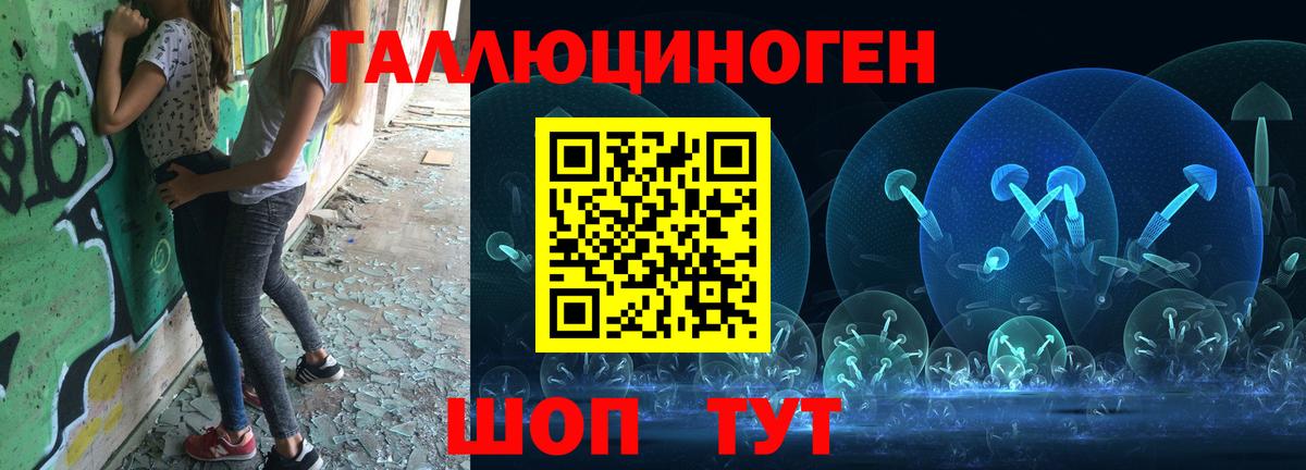 купить закладку  Псилоцибиновые грибы MAGIC MUSHROOMS  Вход с VPN  Каспийск  Галлюциногенные грибы Psilocybe 